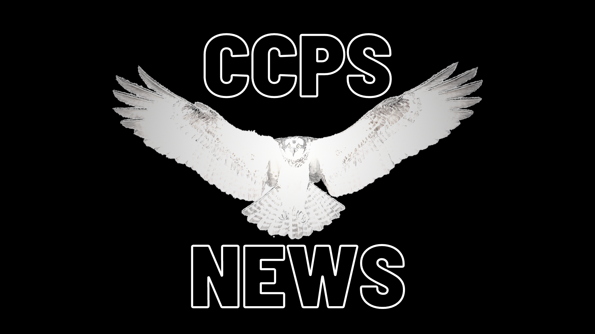 Ccps Student News Episodes Caloundra City Private School